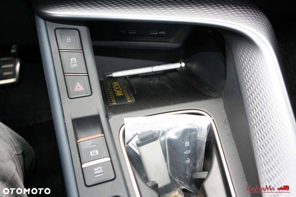 Cupra Terramar - 23
