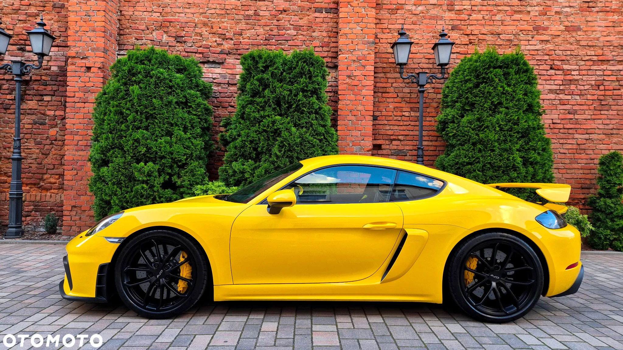 Porsche 718 Cayman GPF GT4 - 5