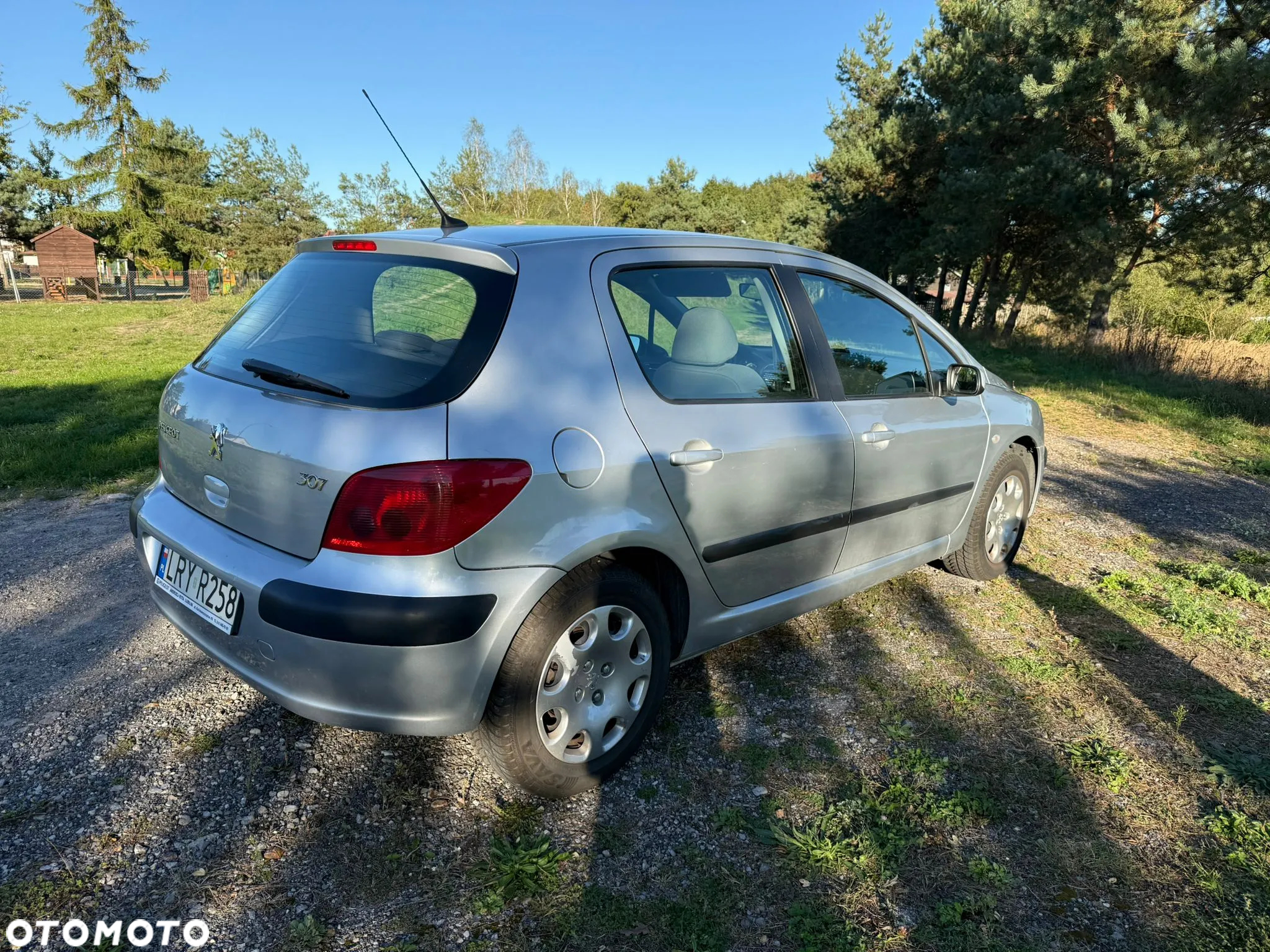 Peugeot 307 1.6 XR - 19