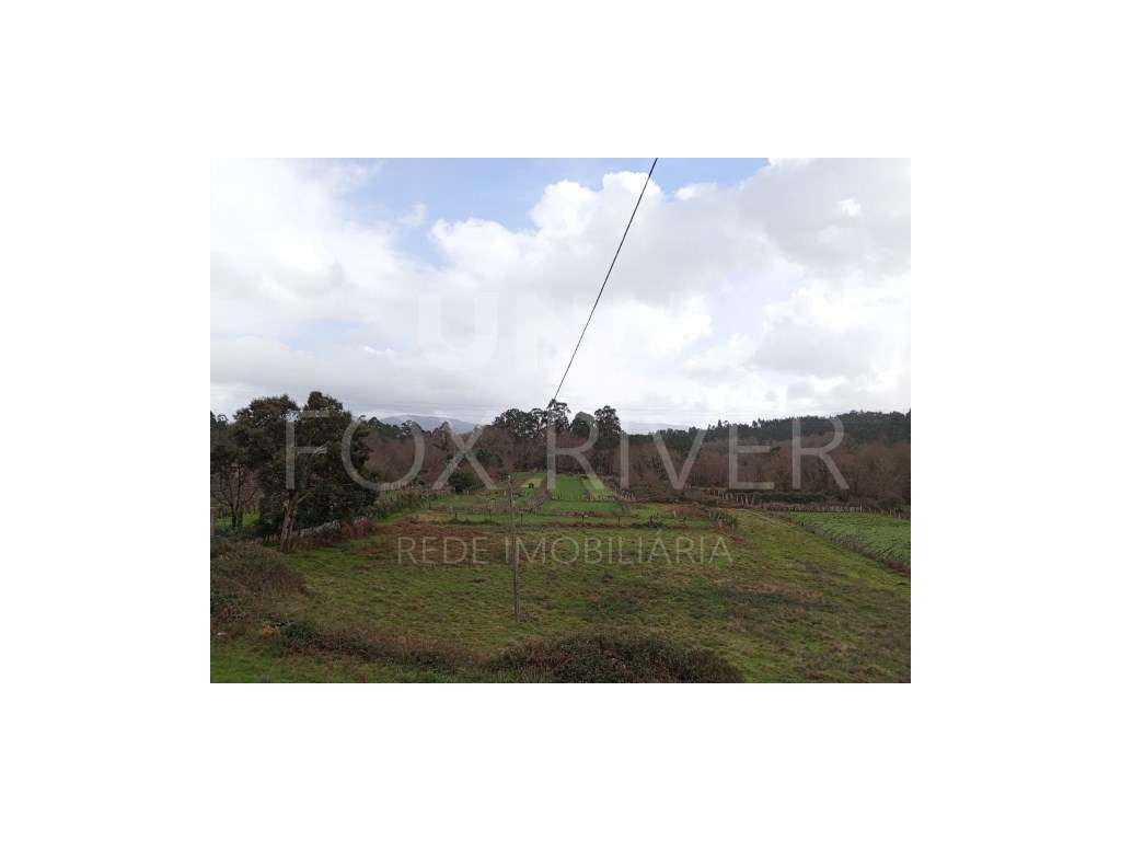 Terreno para construção em Troporiz, Monção - Grande imagem: 4/9