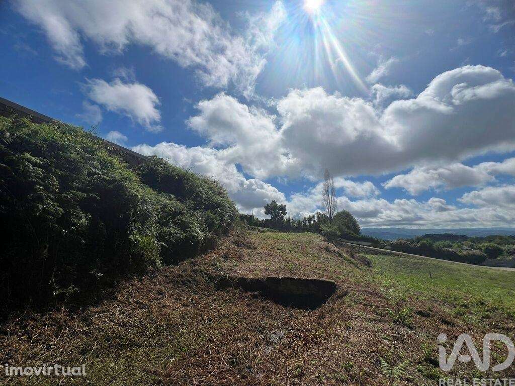 Terreno em Recezinhos (São Mamede) de 4398,00 m2 - Grande imagem: 4/25