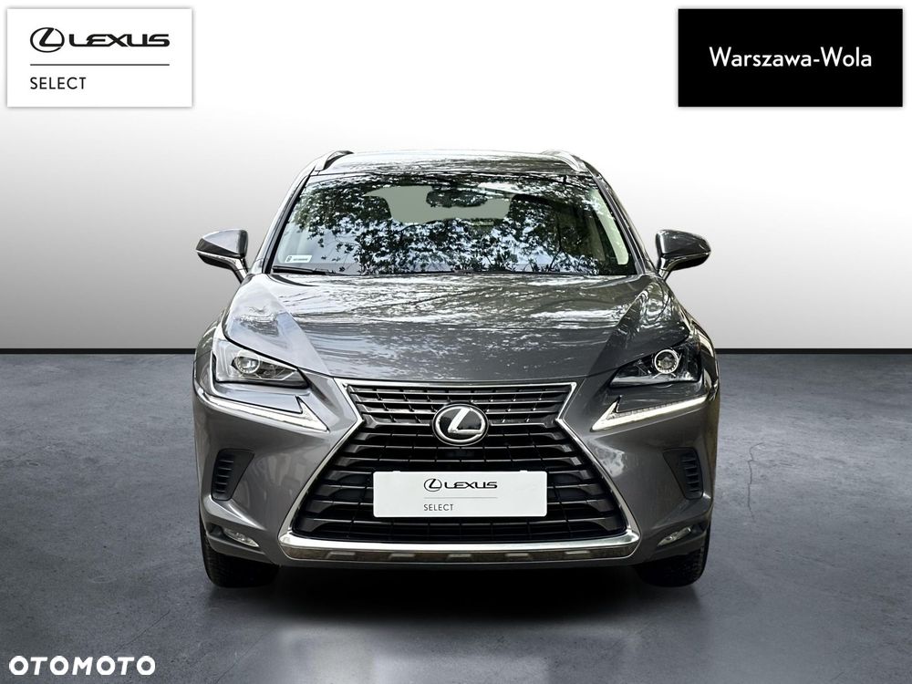 Lexus NX 300 Elegance Optimum AWD - 10