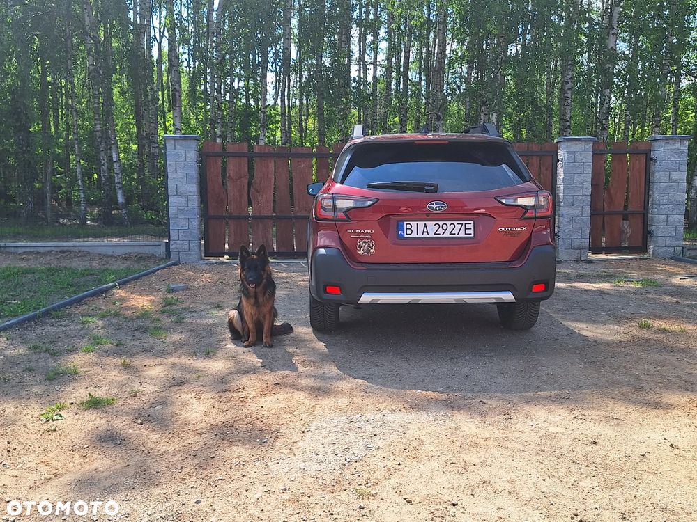 Subaru Outback - 9