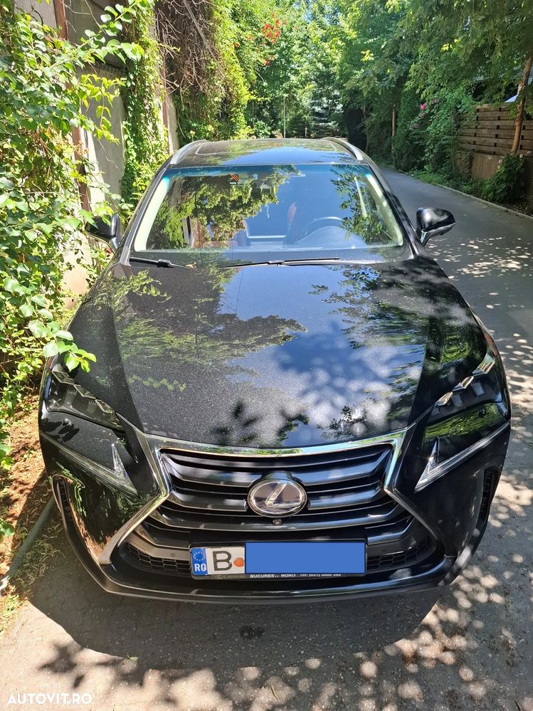 Lexus Seria NX - 1