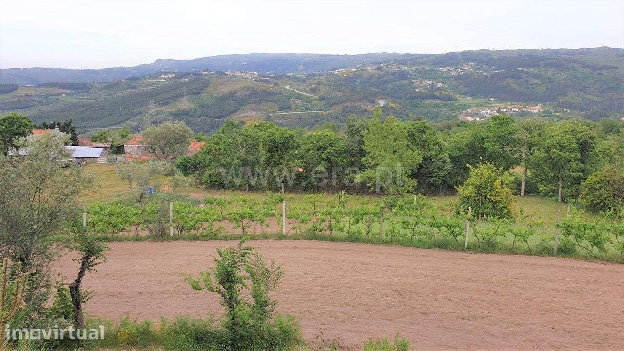 Terreno / Marco de Canaveses, Paredes de Viadores - Grande imagem: 4/15
