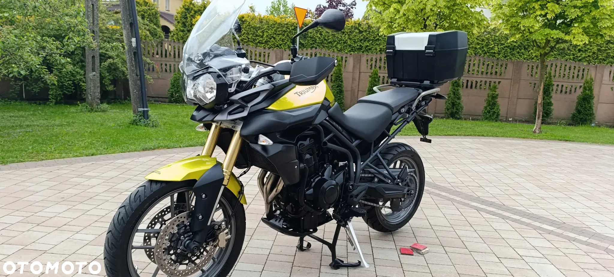 Triumph Tiger - 9
