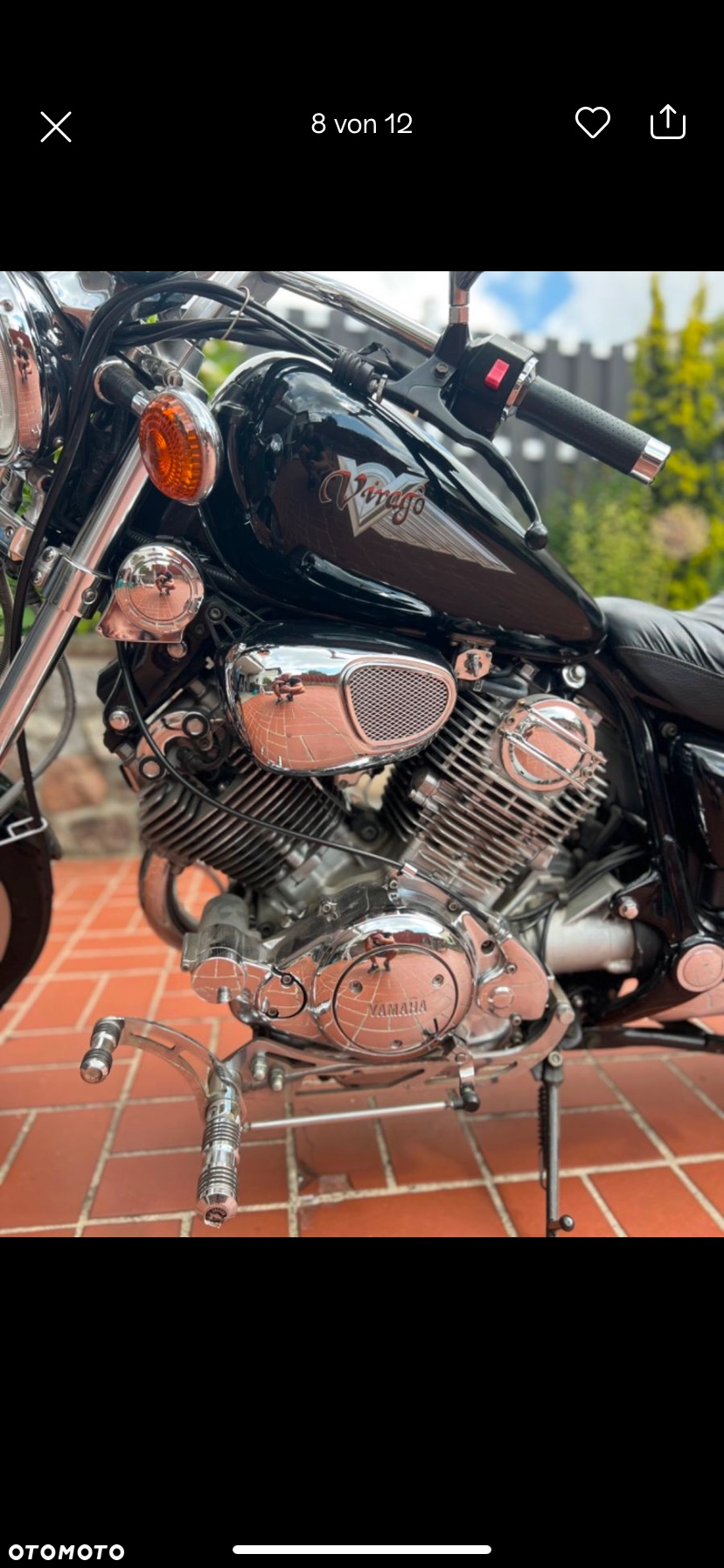 Suzuki Intruder - 10