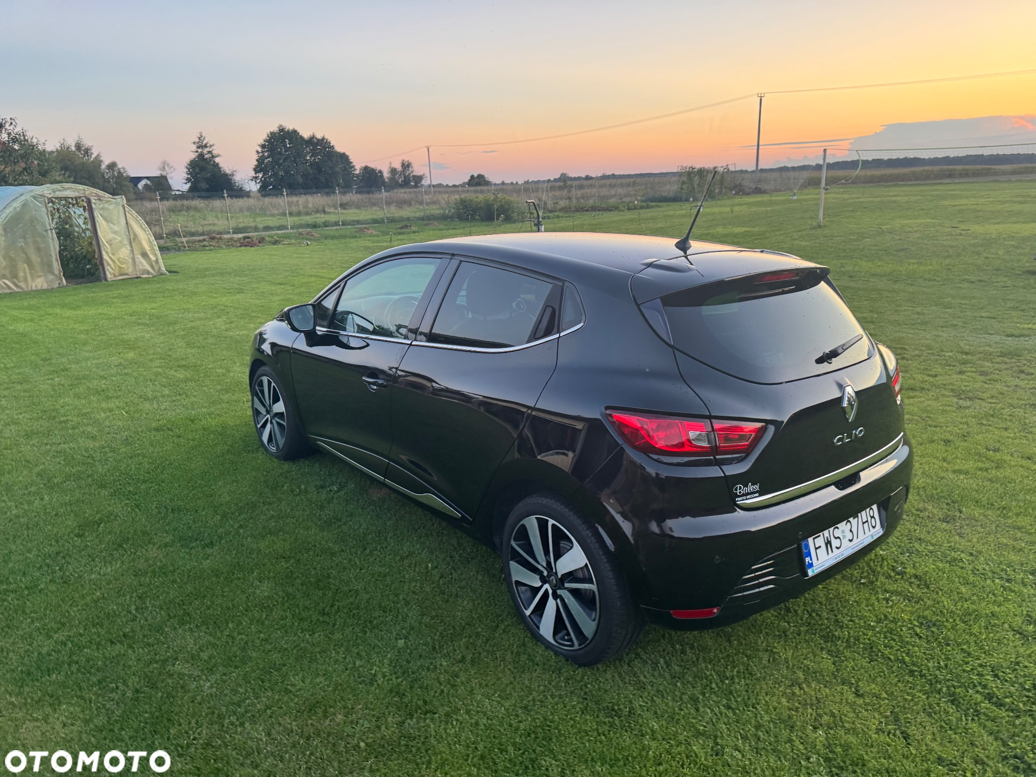 Renault Clio - 13