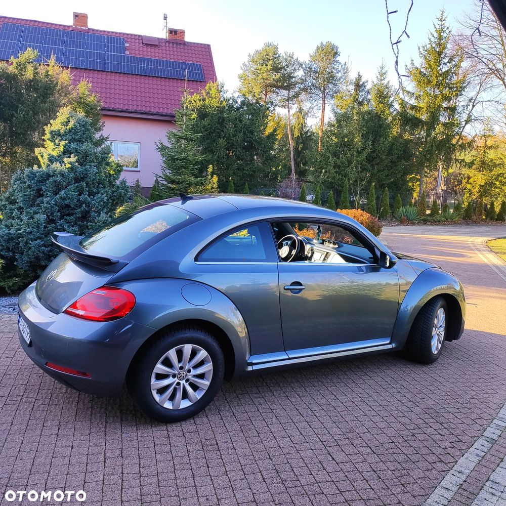 Volkswagen Beetle - 7