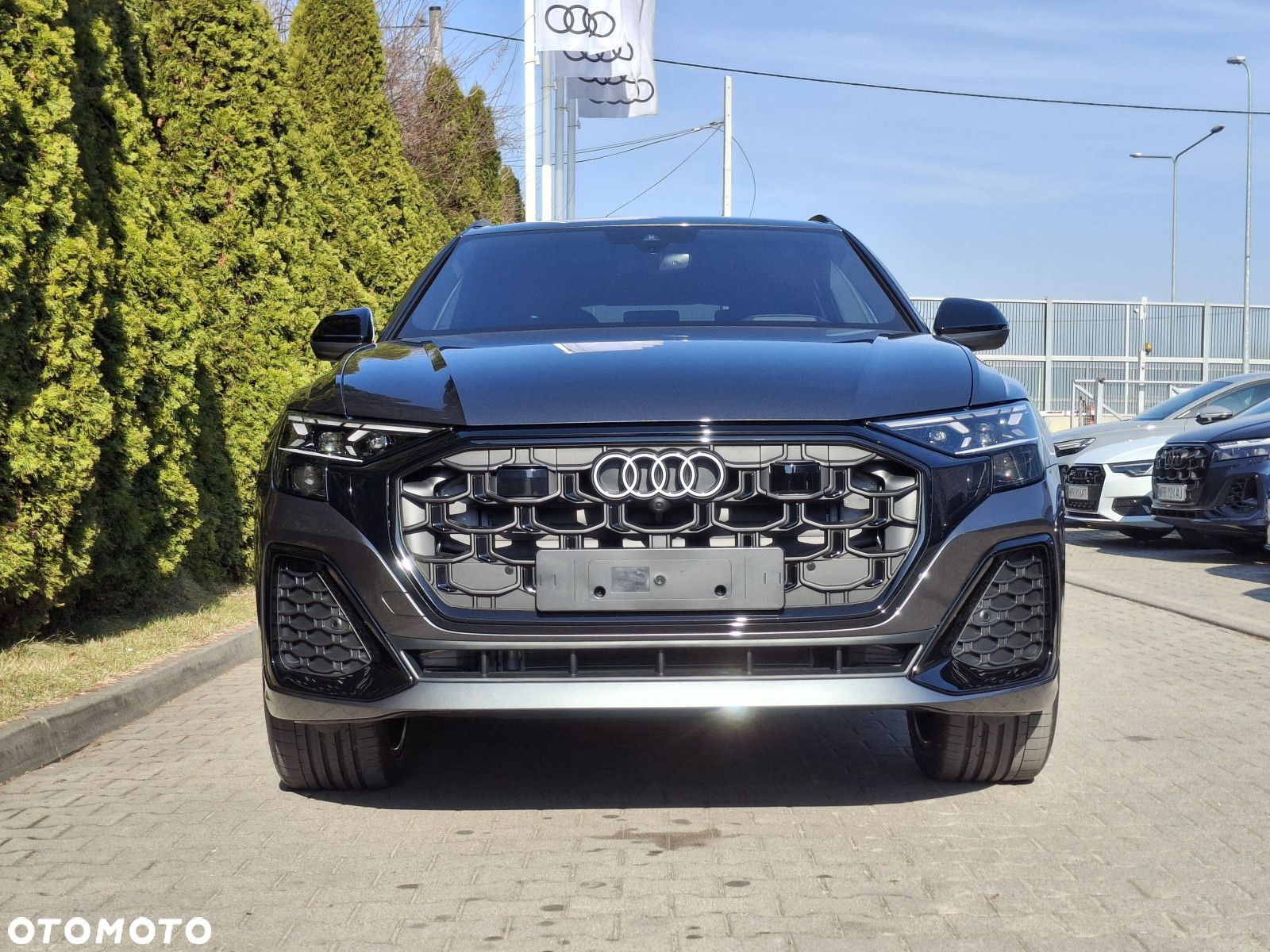 Audi Q8 - 6
