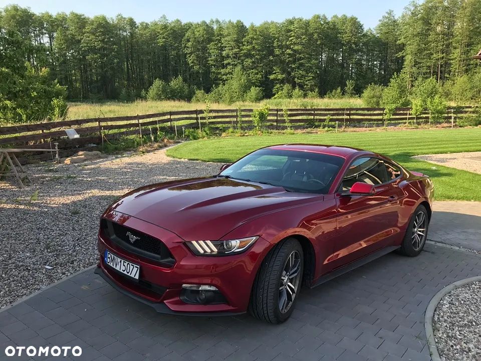 Ford Mustang 2.3 EcoBoost - 17
