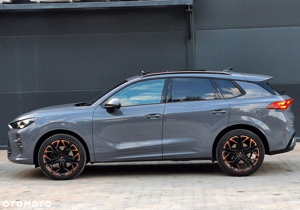 Cupra Terramar - 6