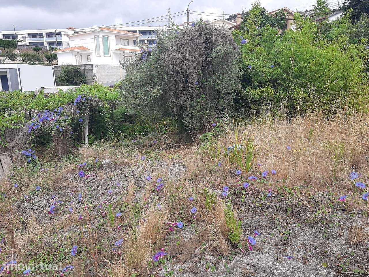 Vende Casa em pedra e terreno Besteiros Paredes - Grande imagem: 5/9