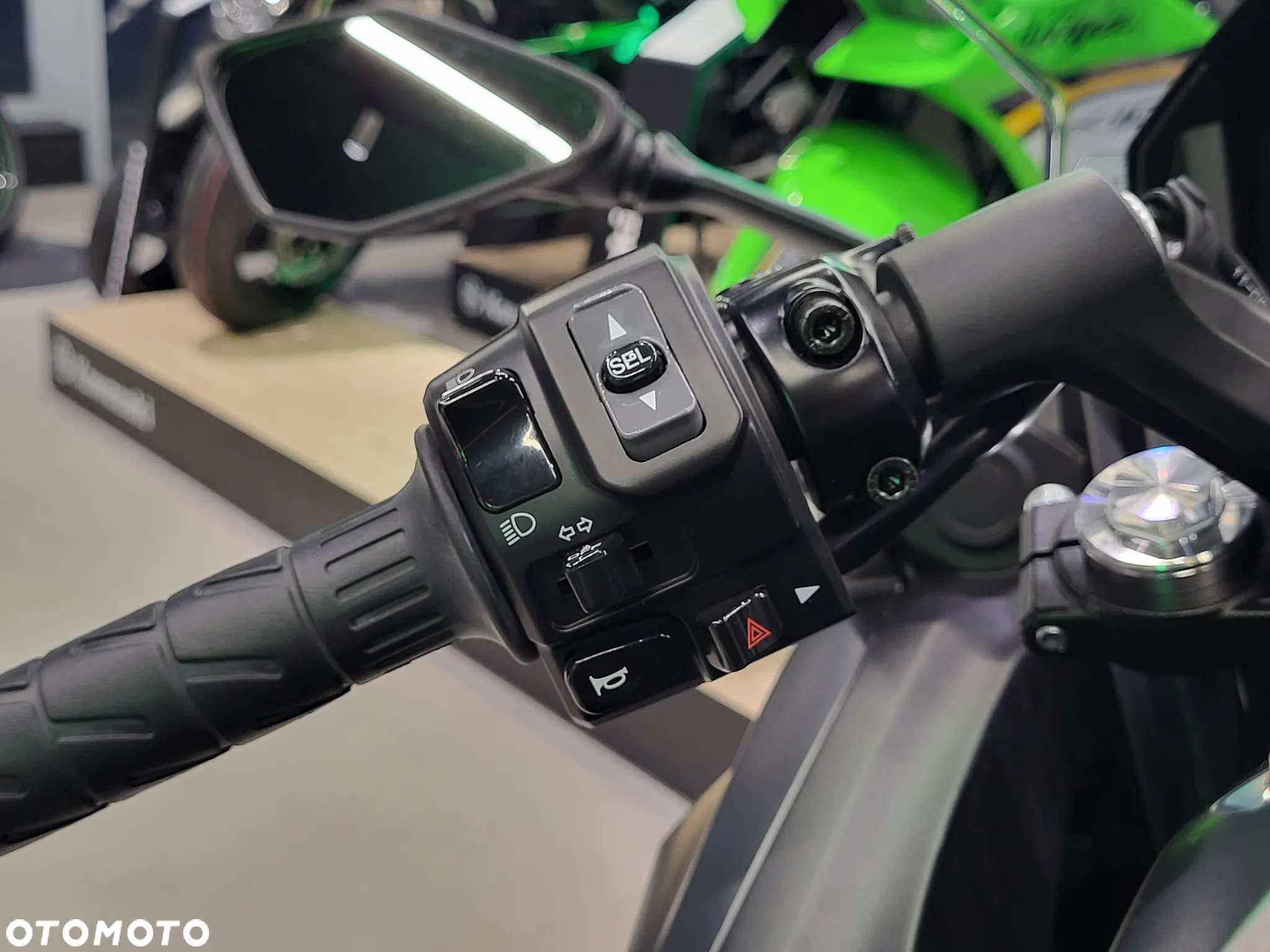Kawasaki Ninja - 11