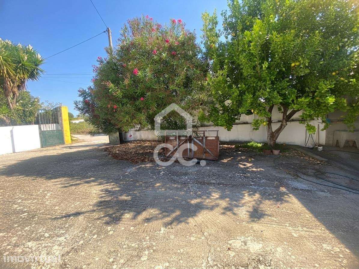 Quinta com 14.590m2, Moradia, Casa do Caseiro e Estruturas Agrícolas e - Grande imagem: 2/59