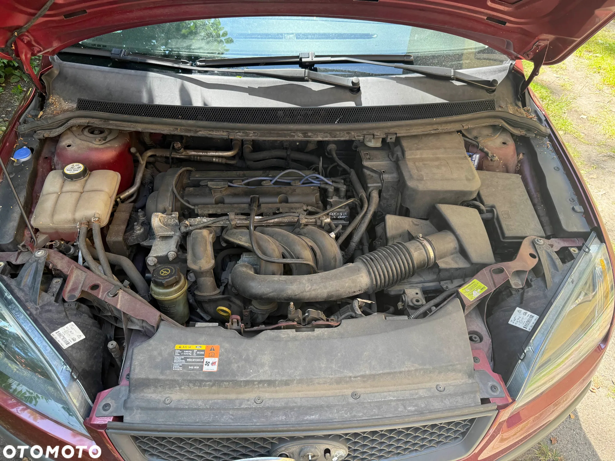 Ford Focus 1.6 100 - 12