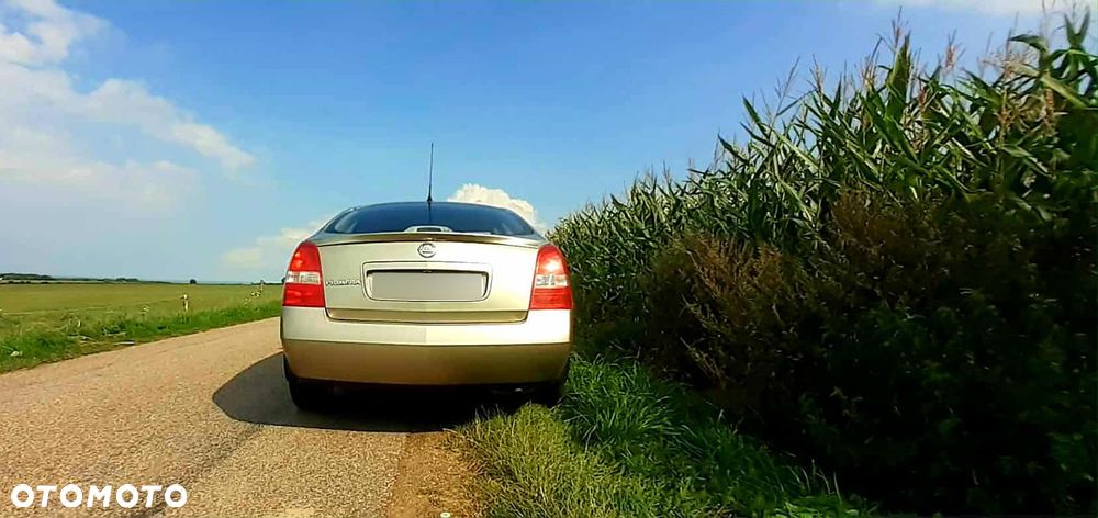 Nissan Primera - 20