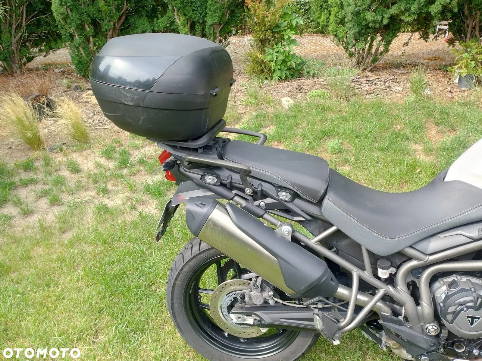 Suzuki DL - 6