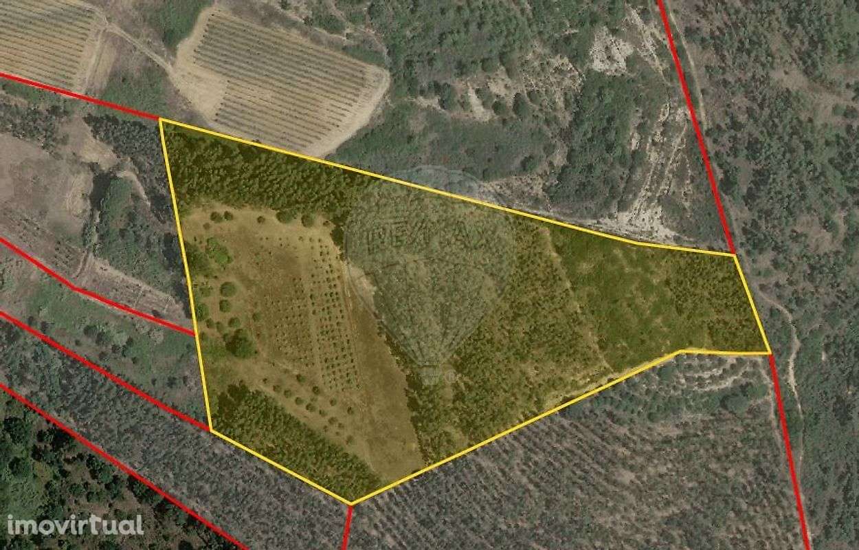 Terreno  para venda - Grande imagem: 5/21