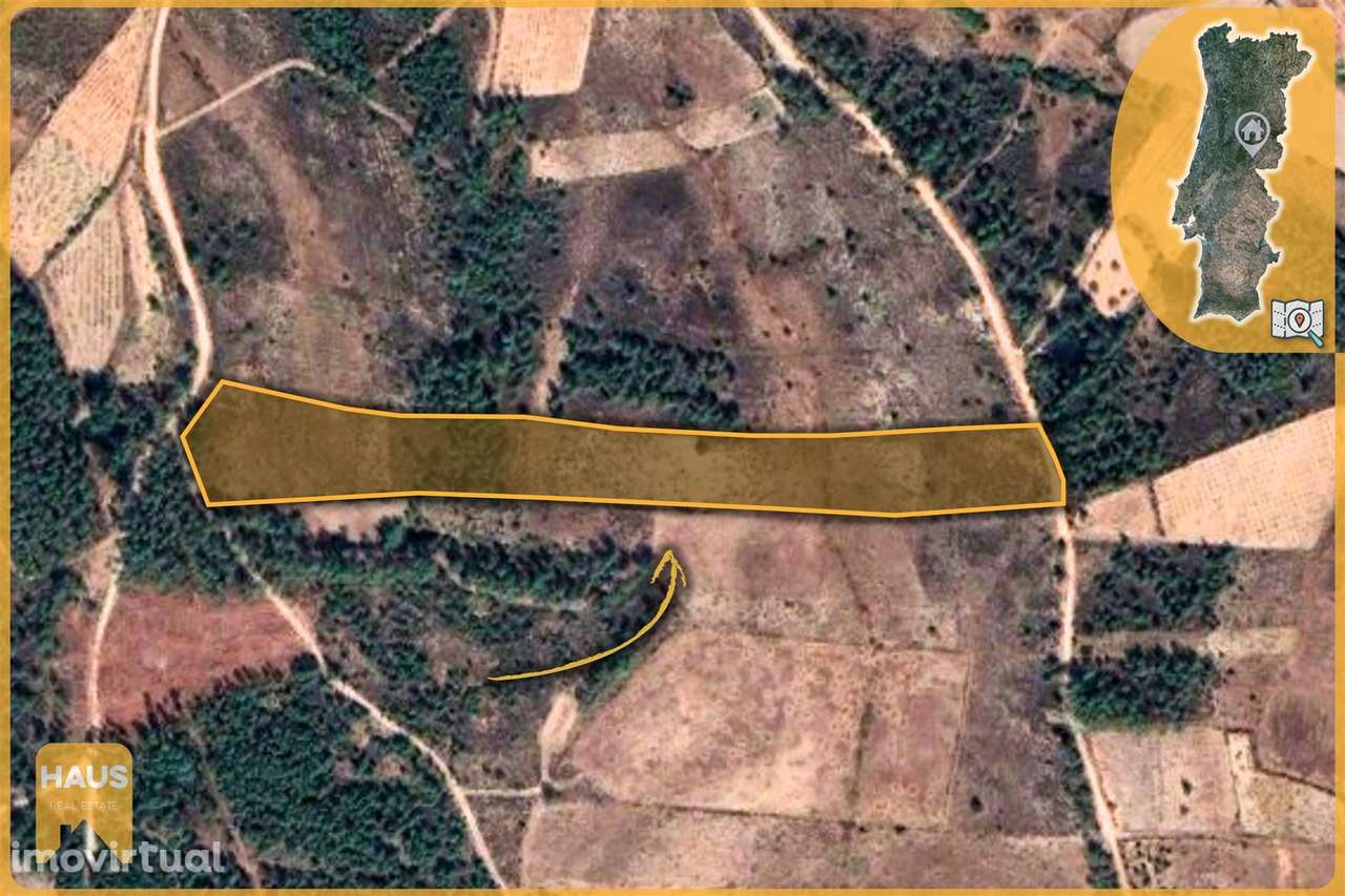 Terreno com 11.880 m² à venda em Castelo Branco. - Grande imagem: 2/26