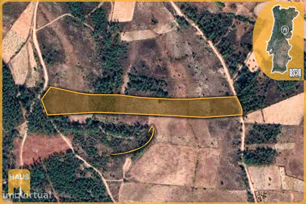 Terreno com 11.880 m² à venda em Castelo Branco. - Grande imagem: 2/26