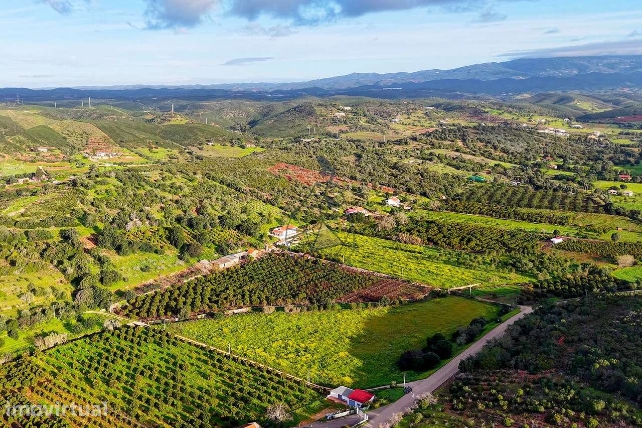 Quinta de 6,7ha com dois urbanos  na Mexilhoeira Grande - Grande imagem: 5/32