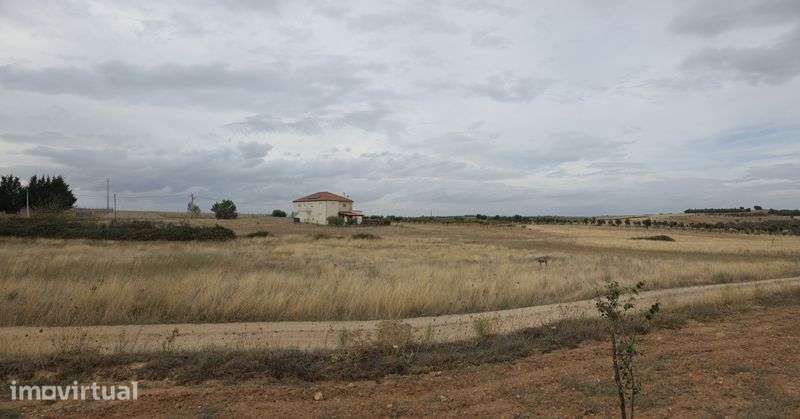 Terreno agrícola - Grande imagem: 4/7