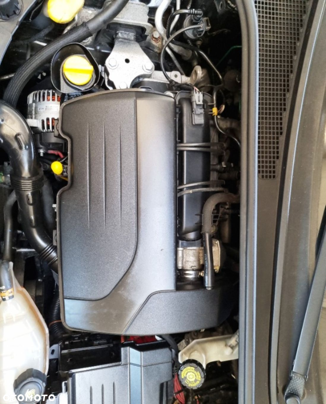 Renault Clio - 14