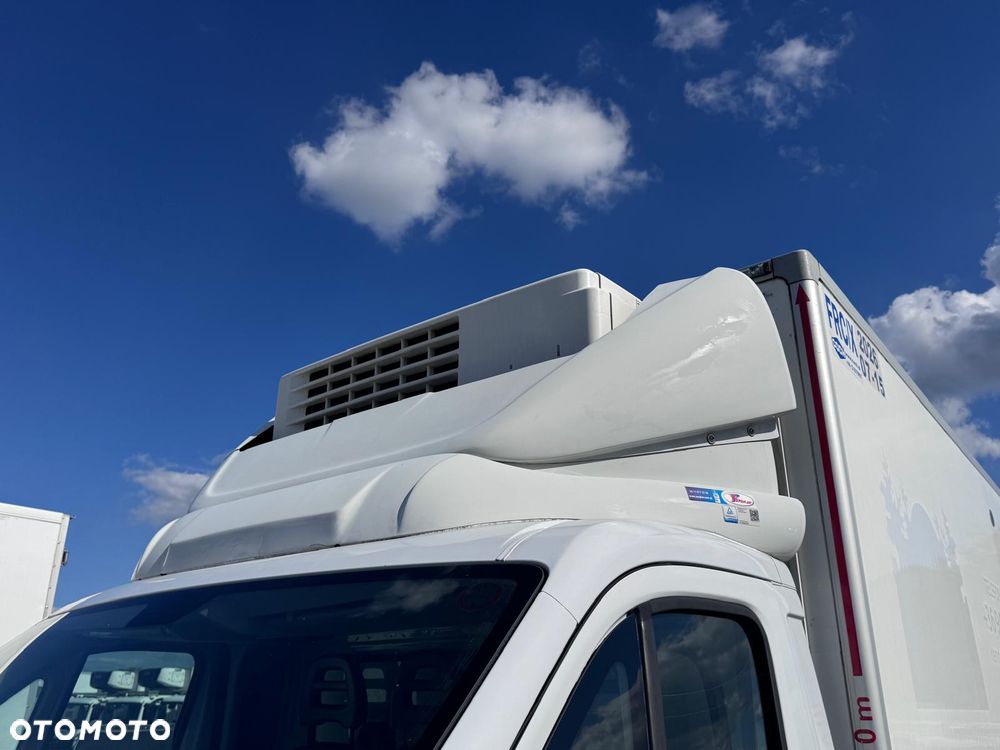 Fiat Ducato / Chłodnia ThermoKing V500 MAX (448) - 22