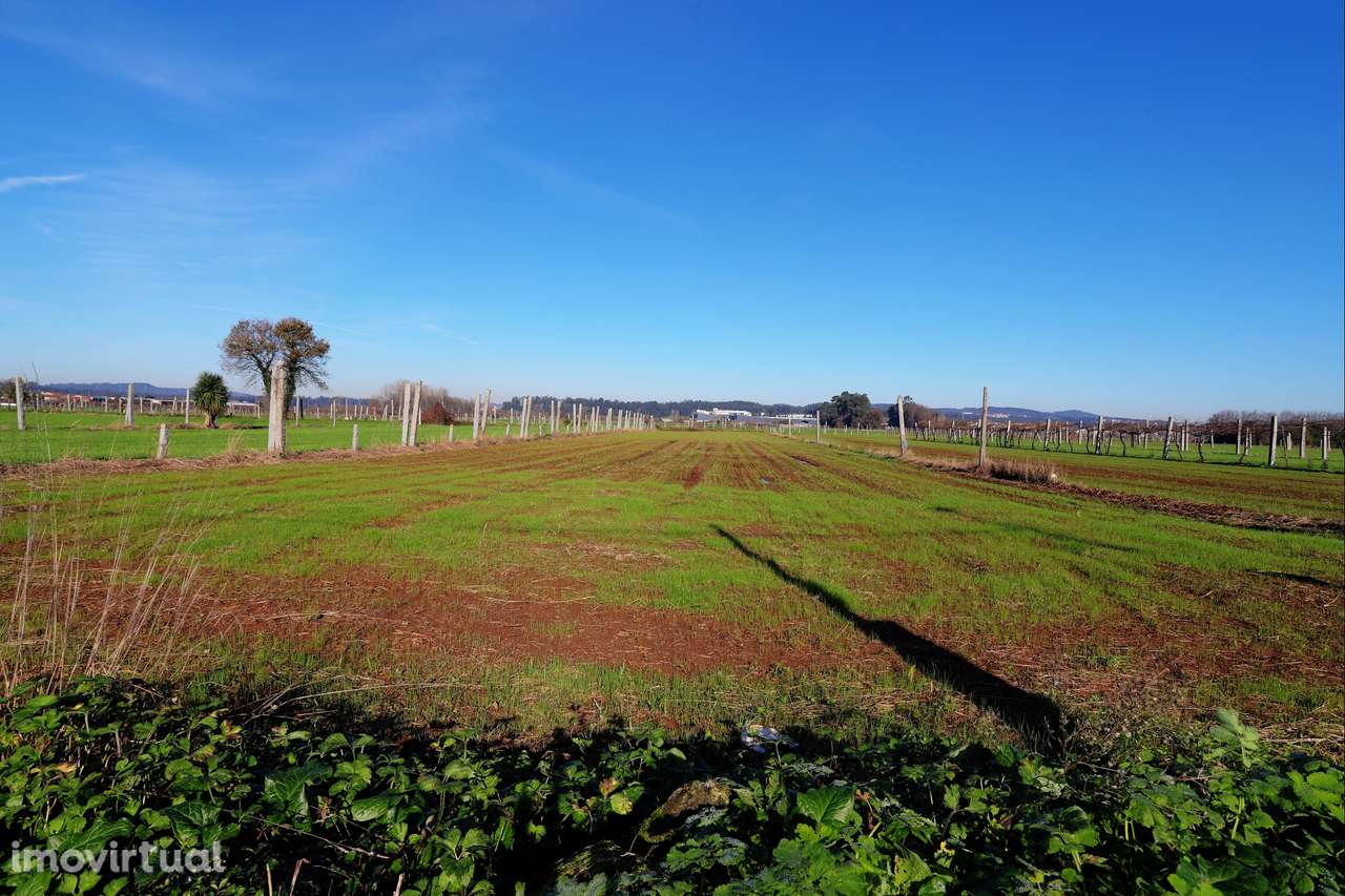 Terreno  Venda em Bougado (São Martinho e Santiago),Trofa - Grande imagem: 3/8