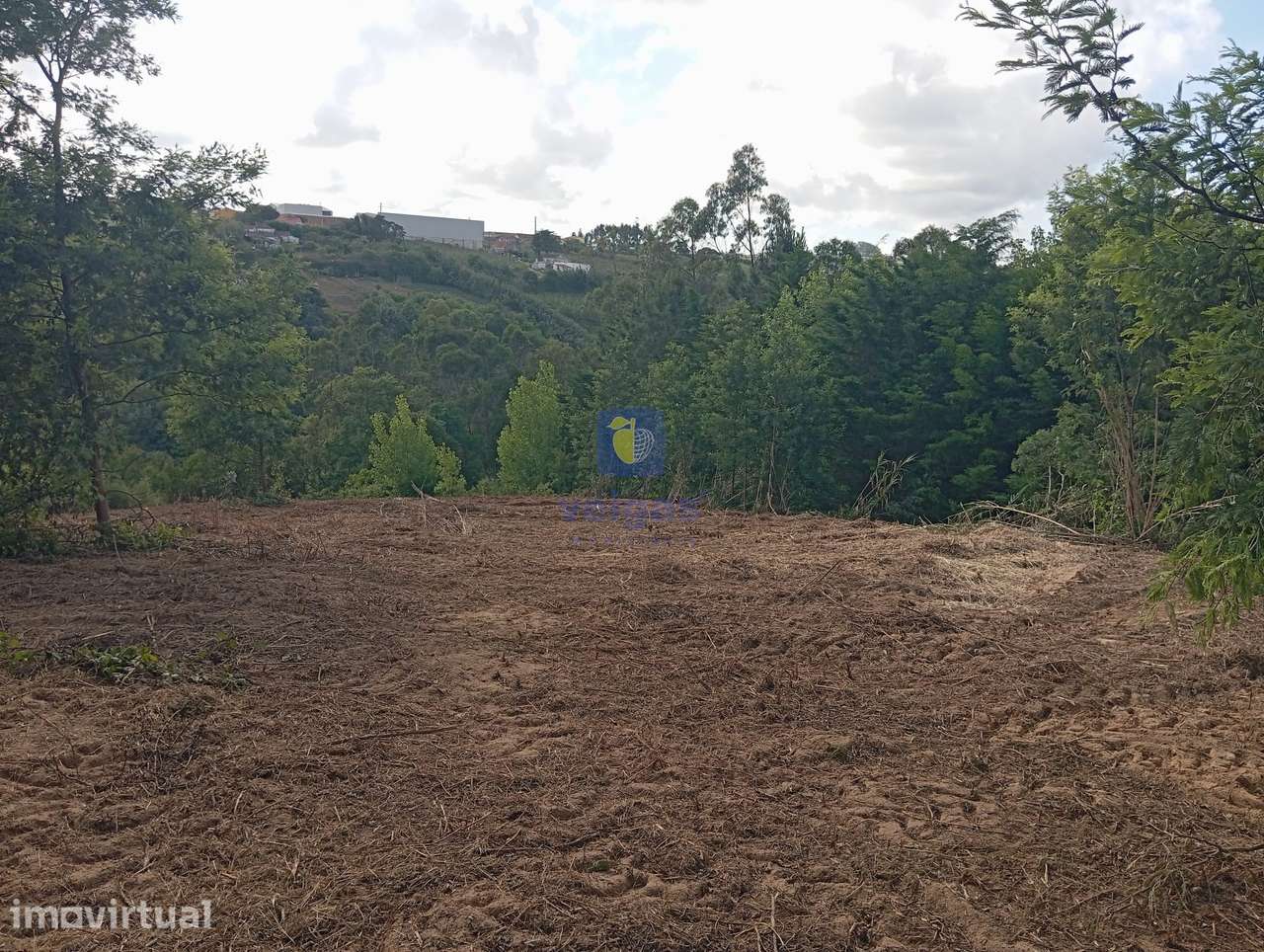 Terreno com 4.920m2, com PDM de Construção, em Zona Calma e com uma Ex - Grande imagem: 5/8