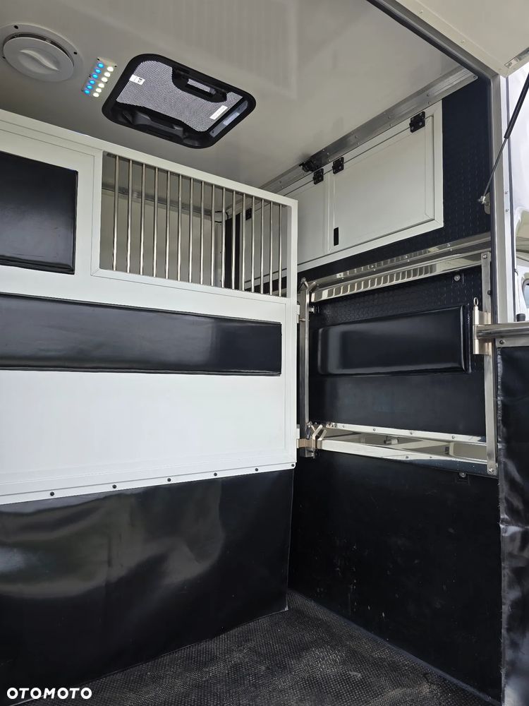 Renault Master-Koniowóz - 17