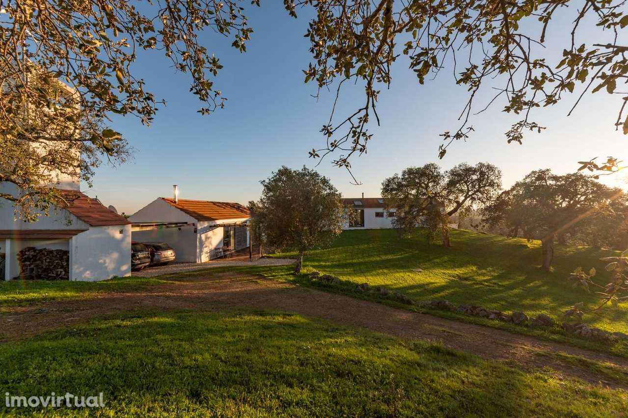 Quinta 6.9 ha, São Francisco da Serra, Santiago do Cacem - Grande imagem: 3/50