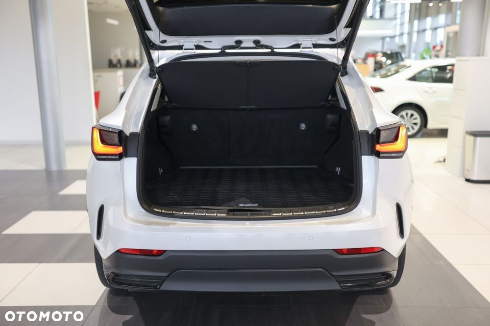 Lexus NX - 19