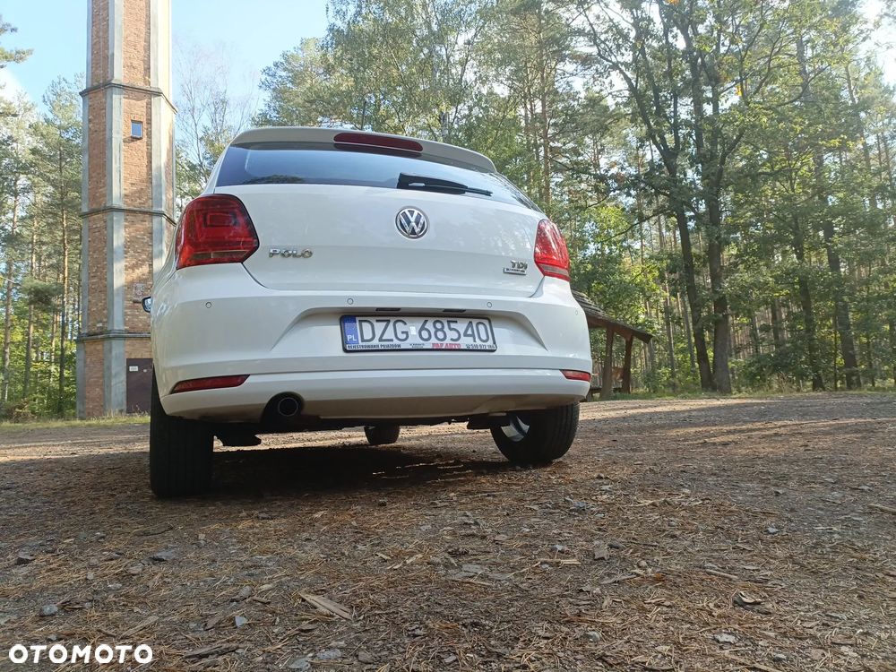 Volkswagen Polo 1.4 TDI Blue Motion - 15