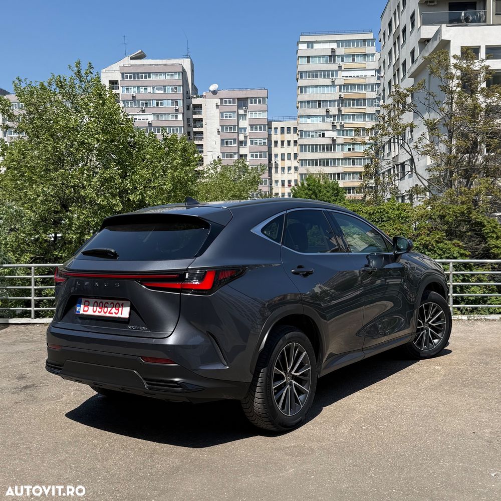 Lexus Seria NX 350h AWD CVT HEV Executive - 12