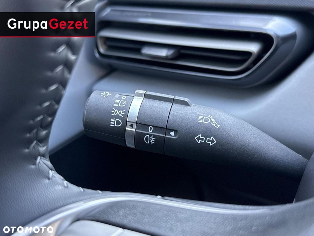 BYD Dolphin Surf - 14