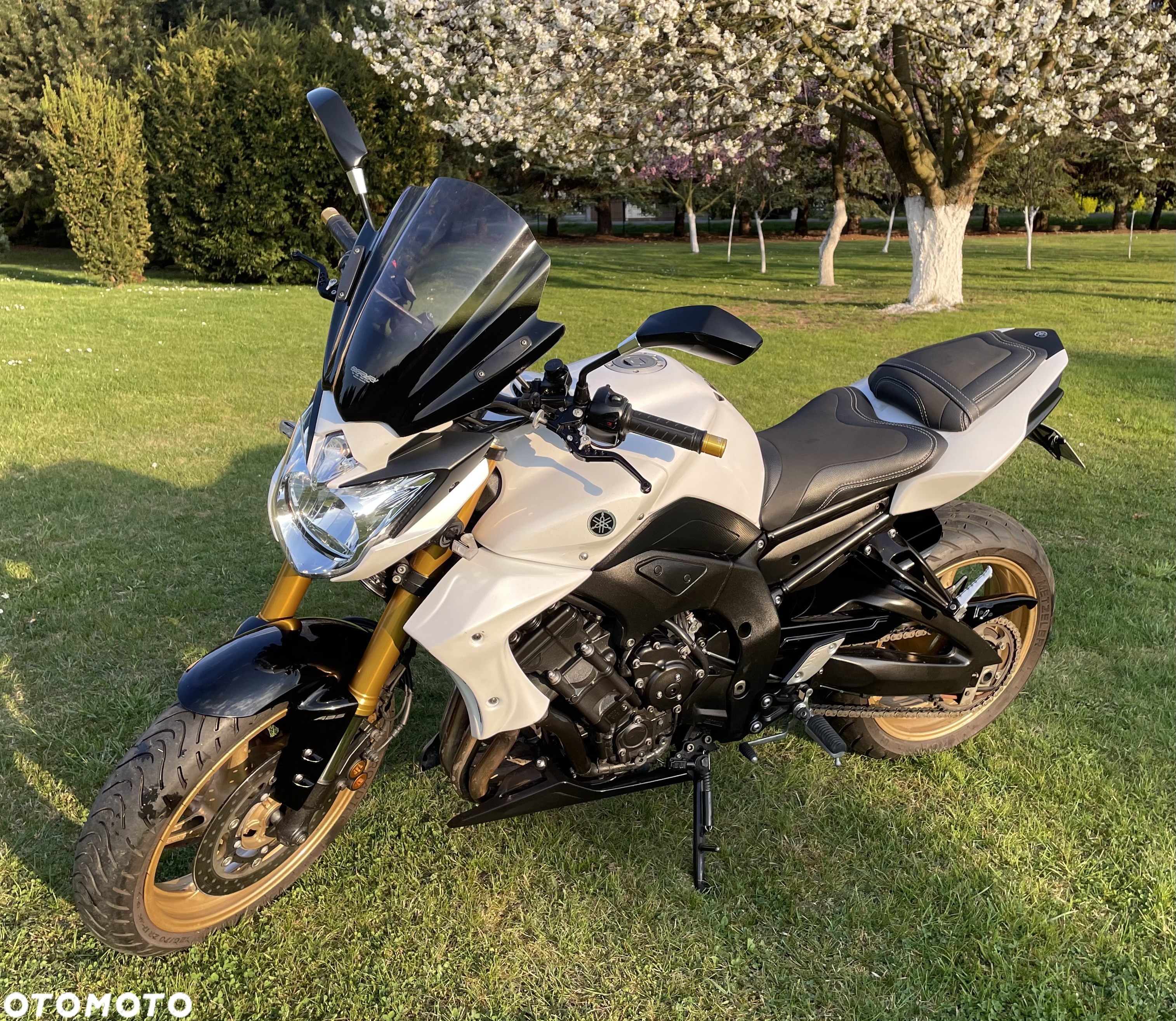 Yamaha FZ8 - 4