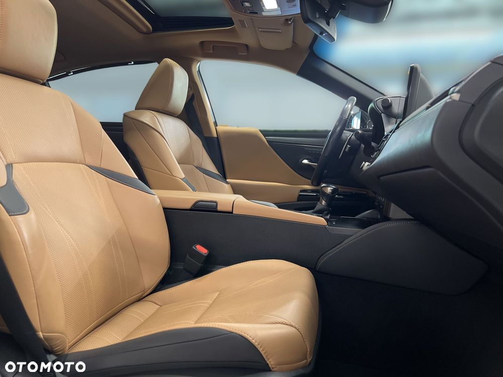 Lexus ES 300h Omotenashi - 12