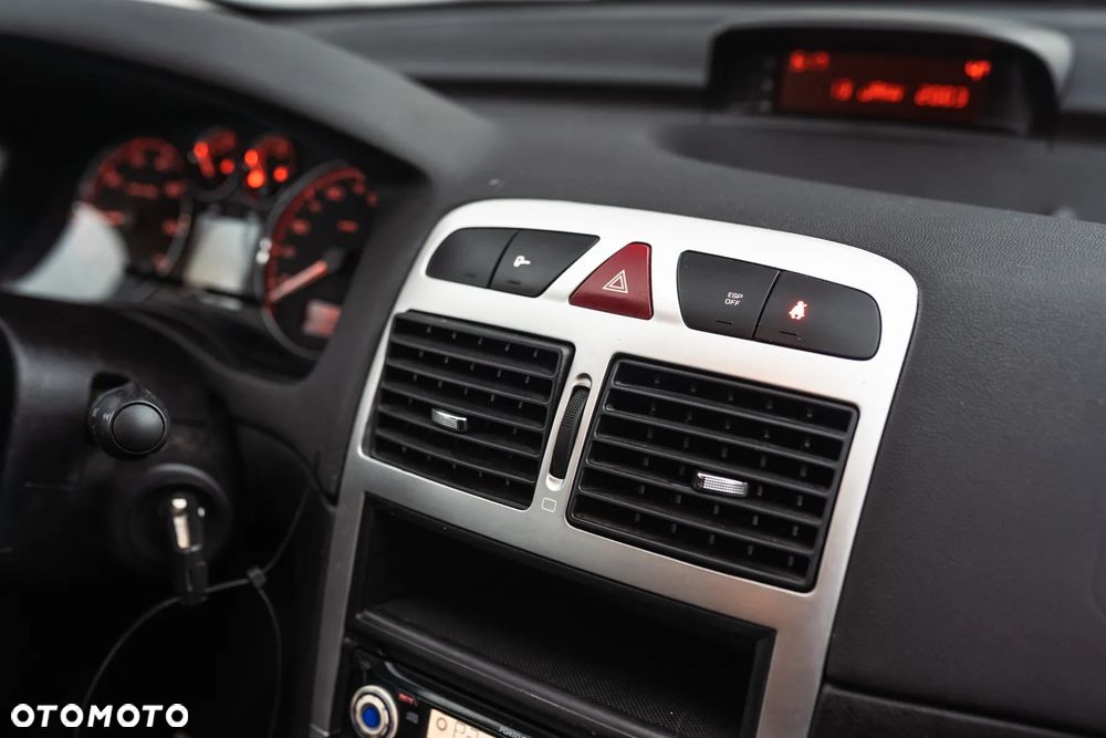 Peugeot 307 - 19