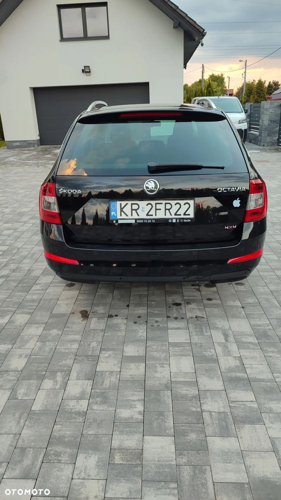Skoda Octavia 1.6 TDI 4x4 Elegance - 17