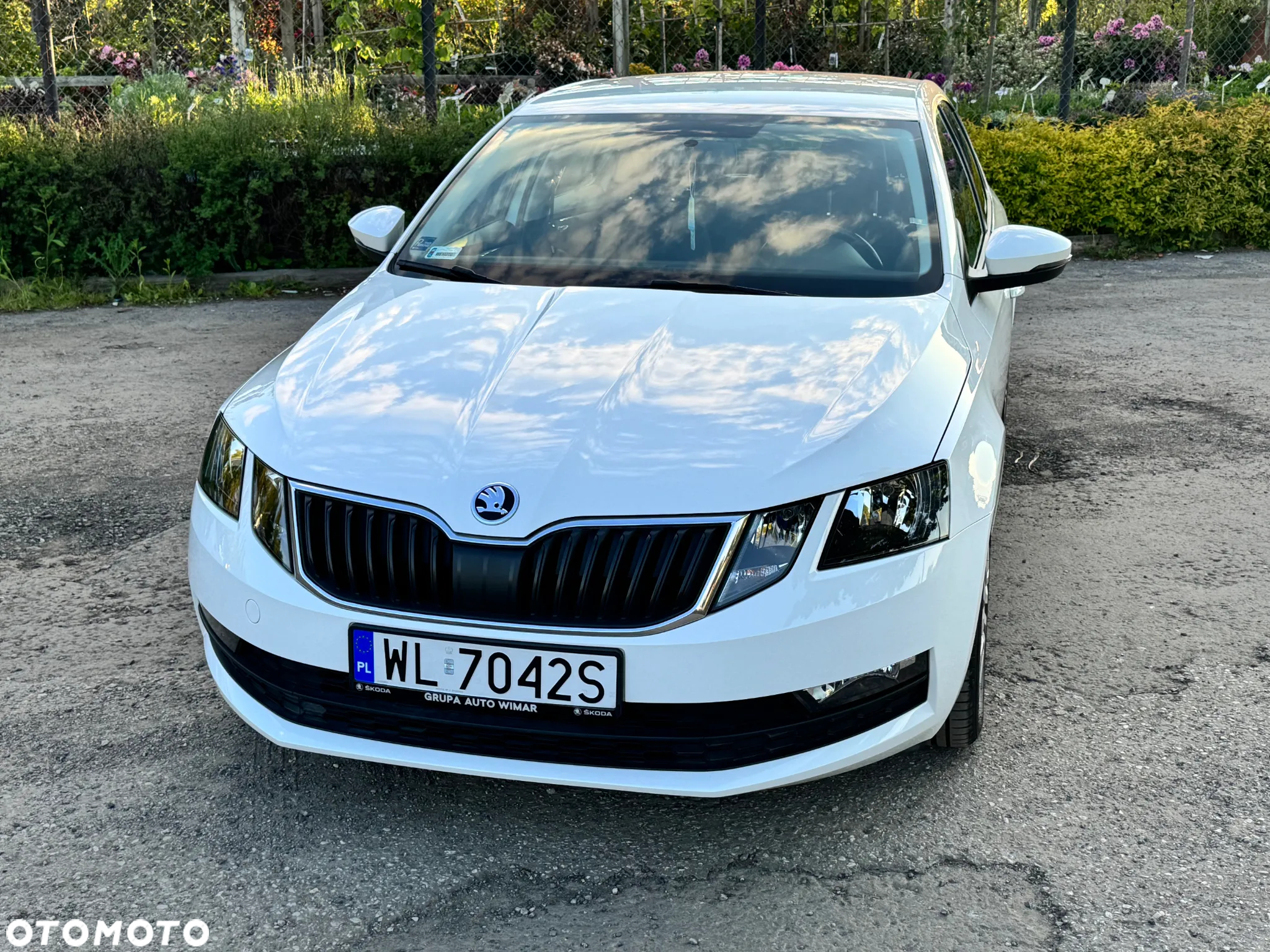 Skoda Octavia 1.4 TSI Active - 2