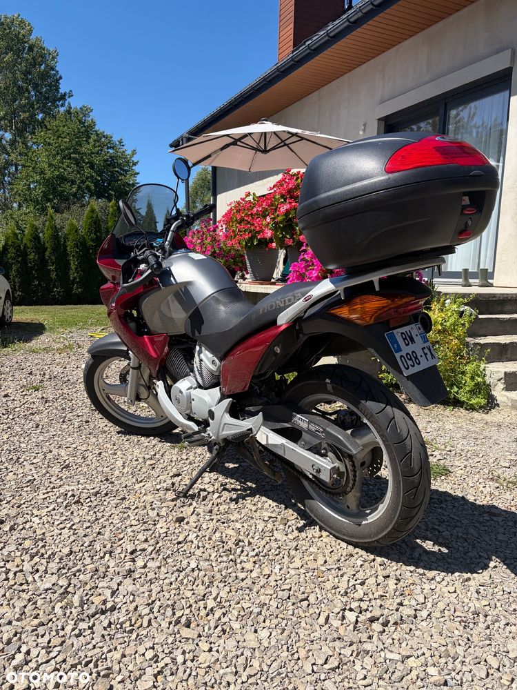 Honda Varadero - 7