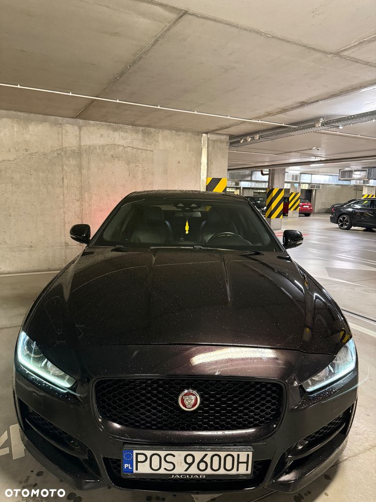 Jaguar XE - 31