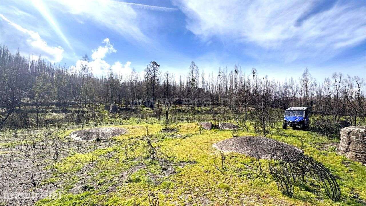 Terreno / Marco de Canaveses, Várzea, Aliviada e Folhada - Grande imagem: 3/14