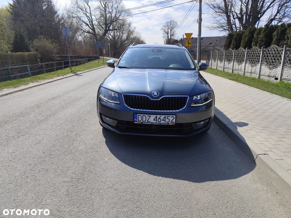 Skoda Octavia 2.0 TDI (Green tec) L&K - 19