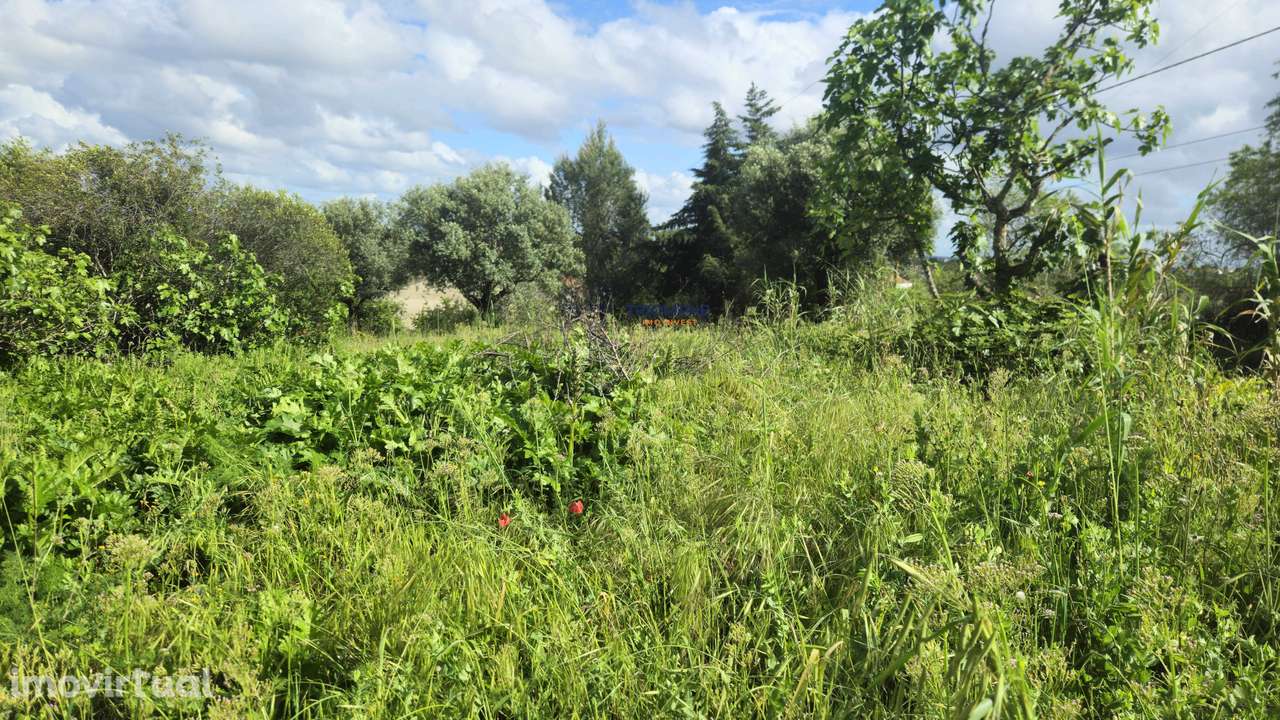 Terreno Rústico Urbanizável, Paialvo, Tomar - Grande imagem: 2/11