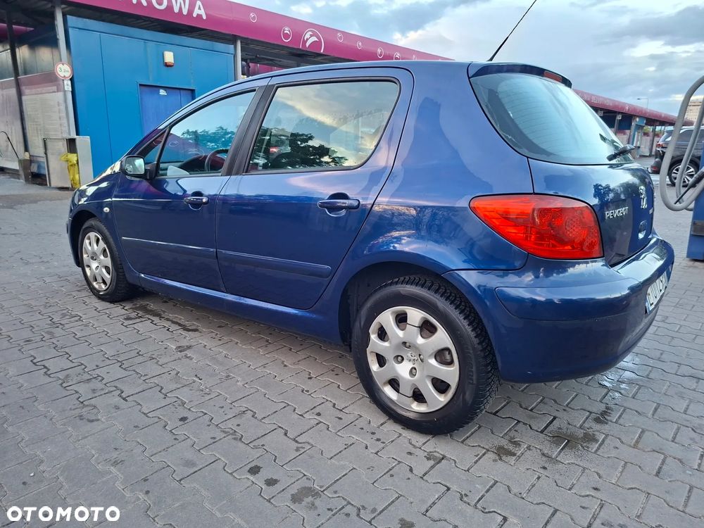 Peugeot 307 1.6 HDi - 13