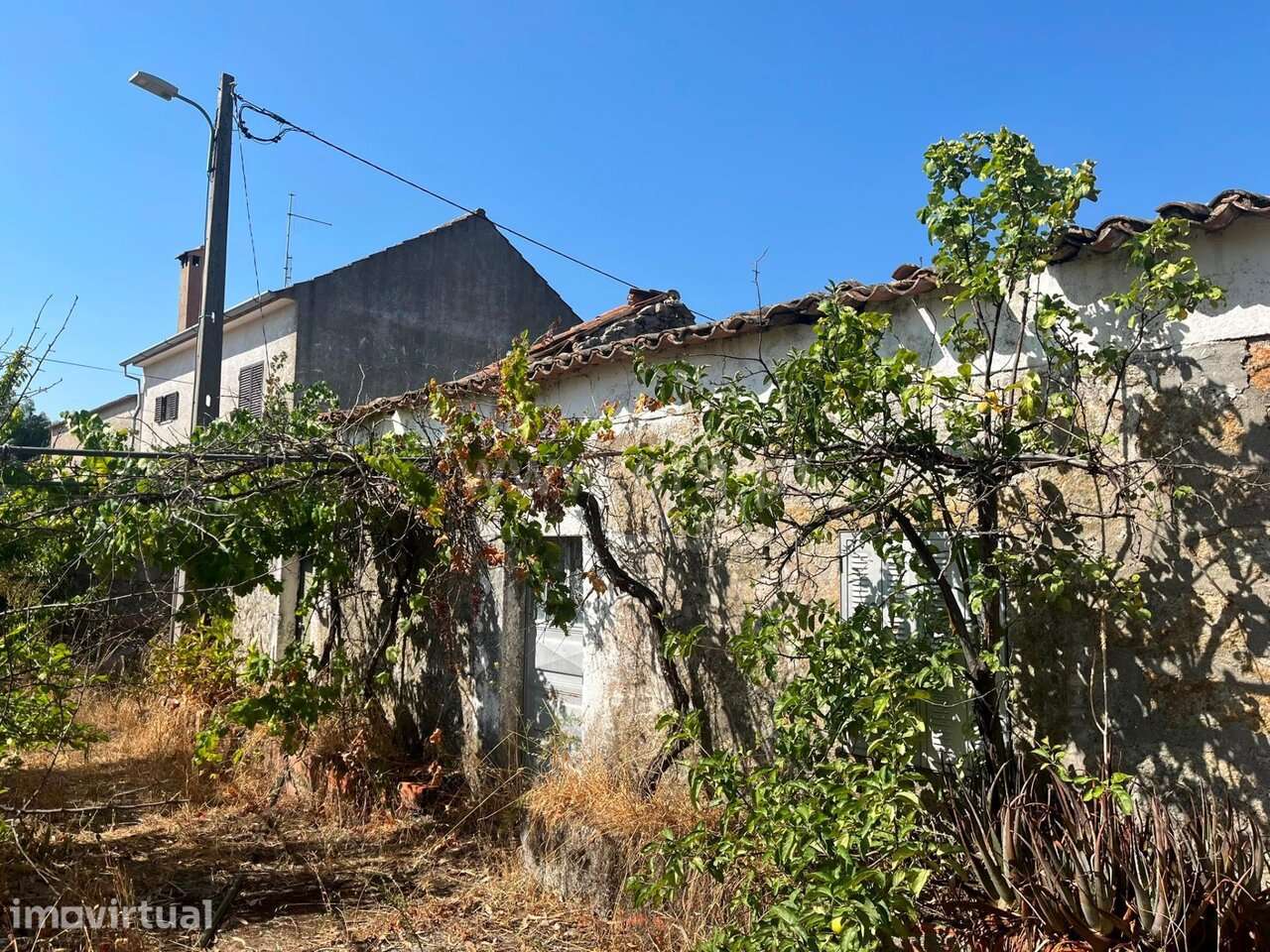 Terreno com ruina / Fundão, Quintas da Torre - Grande imagem: 4/16
