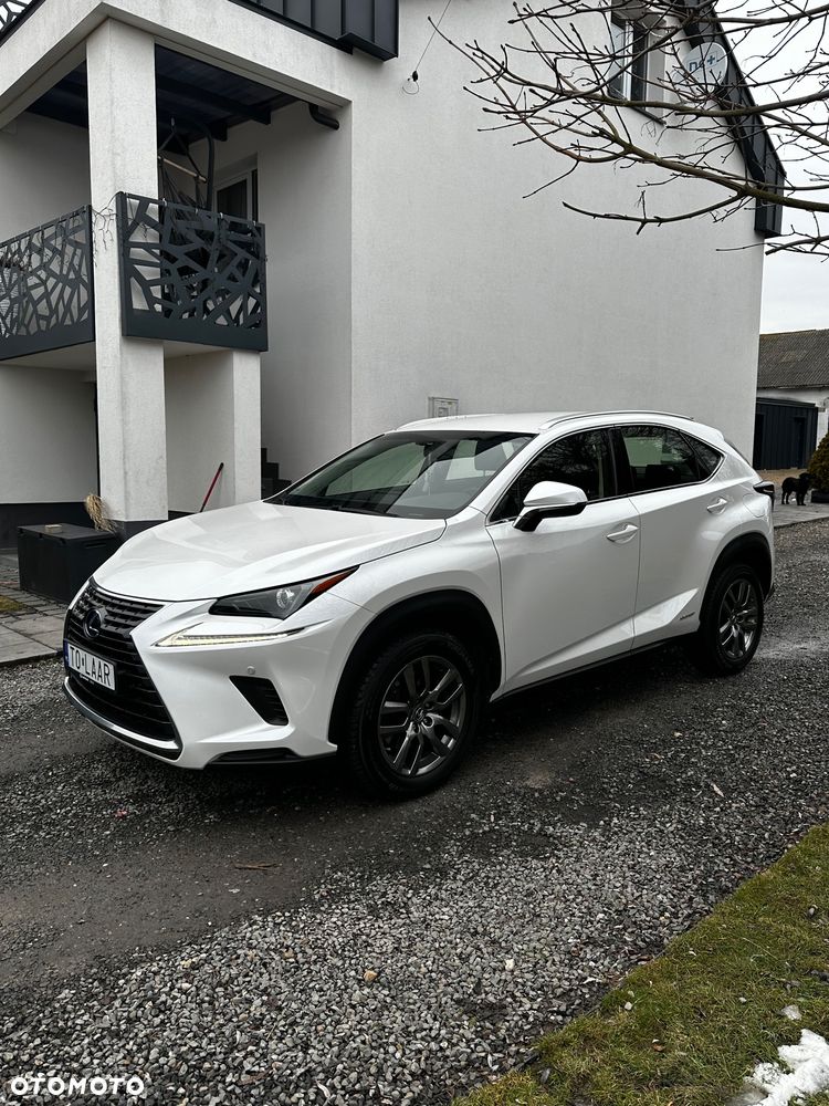 Lexus NX - 1